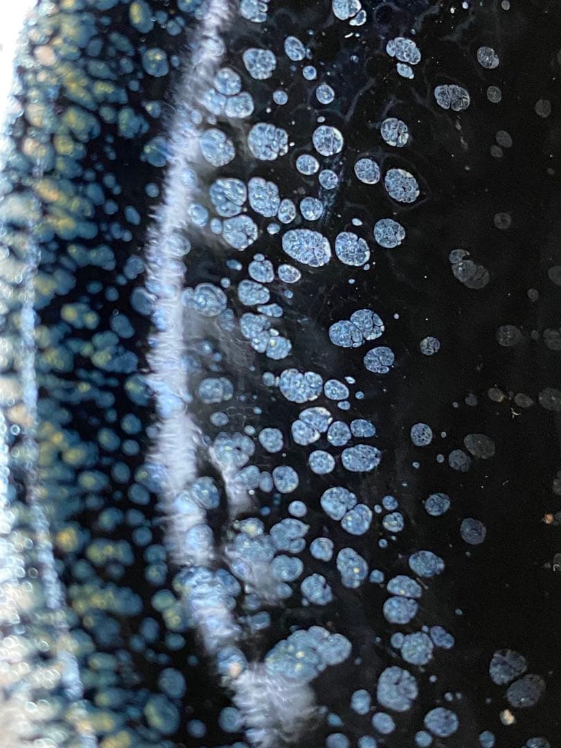 建盞 Jian ware 天目茶碗 油滴天目 Tenmoku 桶谷寧 A03