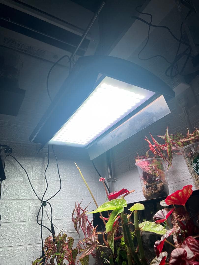 ADA Solar RGB 水草育成ライト