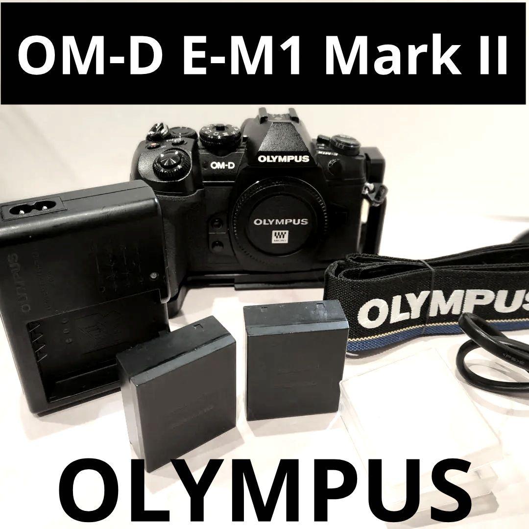 OLYMPUS OM-D E-M1 Mark II ボディ 付属品