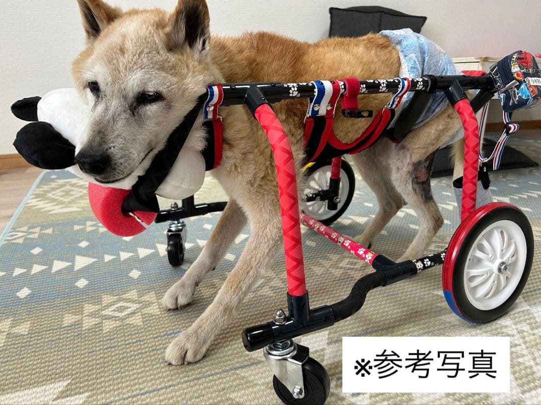 【高強度／超軽量】犬用車椅子 柴犬 四輪車 柴犬柄