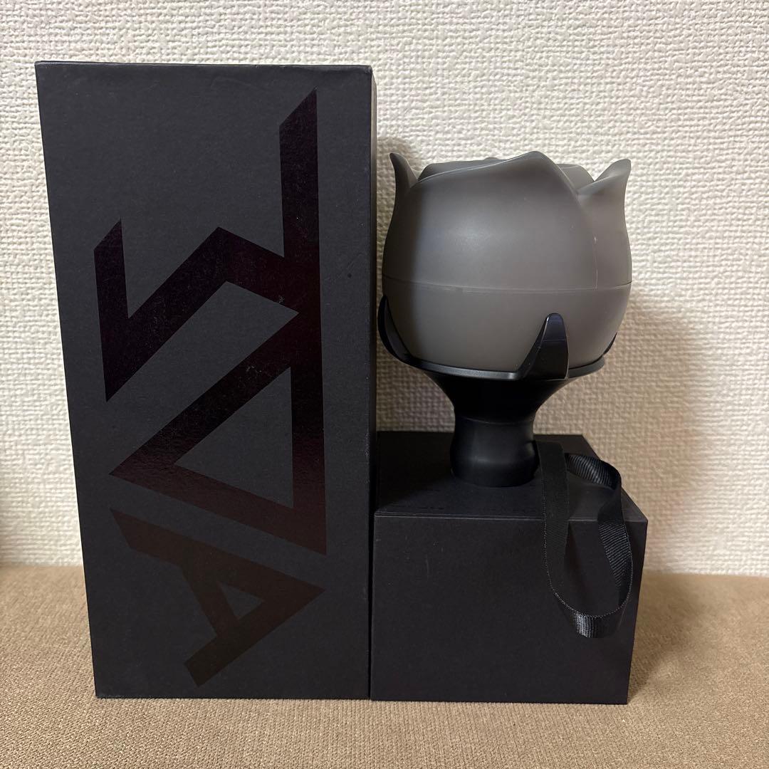 HIGHLIGHT (BEAST) ペンライト２本セット　※点灯確認済