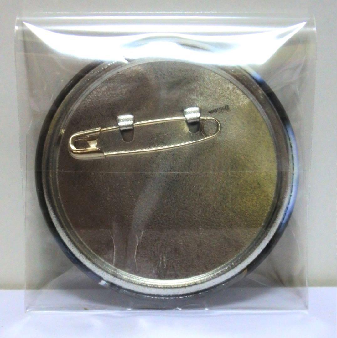 ハリーポッター ハリポタ 2023 謎のプリンス 缶バッジ ハーマイオニー