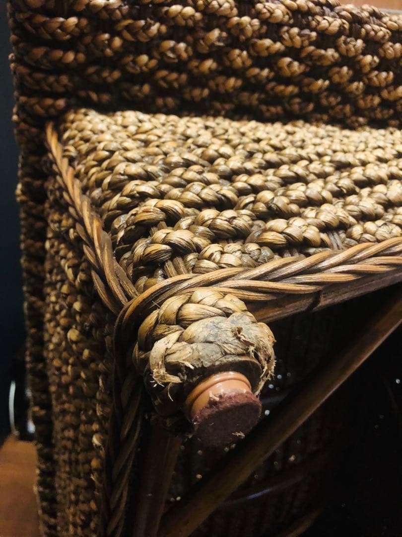 超稀少♦️ウォーターヒヤシンス♦️最高級リゾート　サンベット♦️シェーズロング♦️送料込