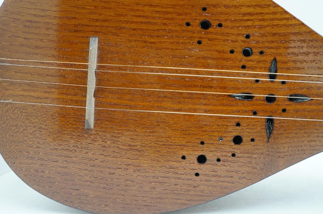 セタール　弦楽器　アジア　民族　リュート系