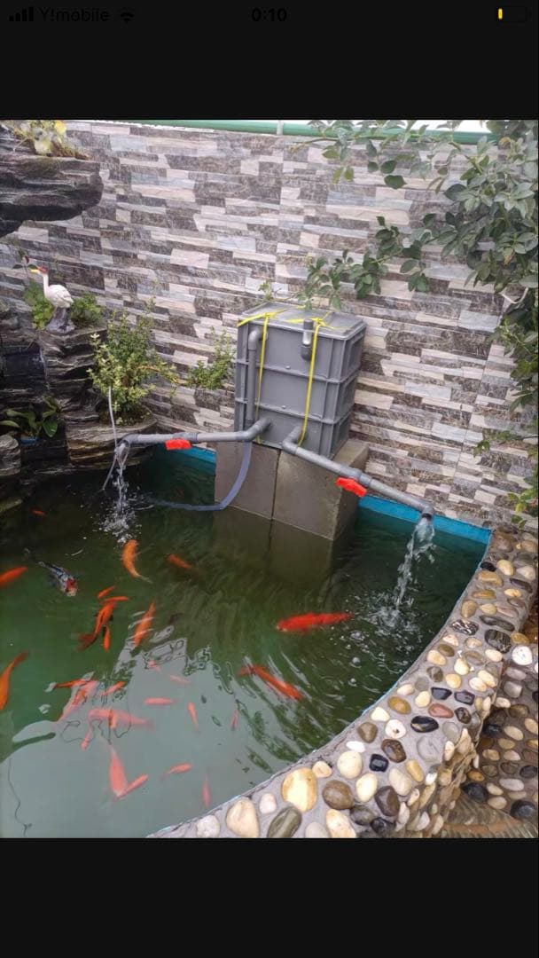 大型水槽用沈殿物理生物一体型濾過槽　外部式濾過装置器水槽濾過バイオフィルター付き