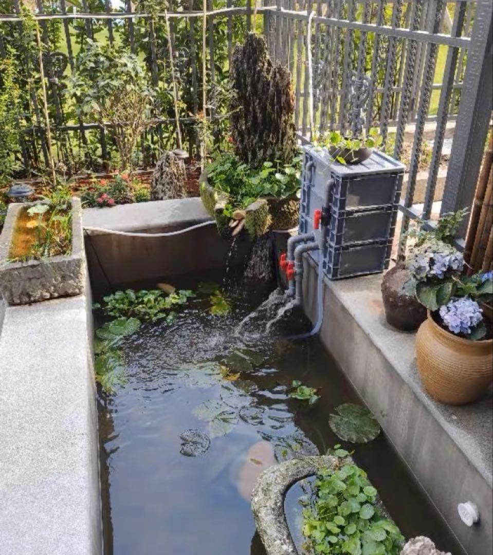 大型水槽用沈殿物理生物一体型濾過槽　外部式濾過装置器水槽濾過バイオフィルター付き