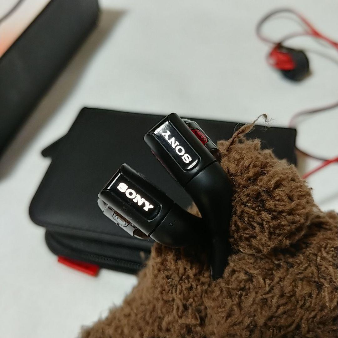 ソニー　ハイレゾ　イヤホン　XBA-H3