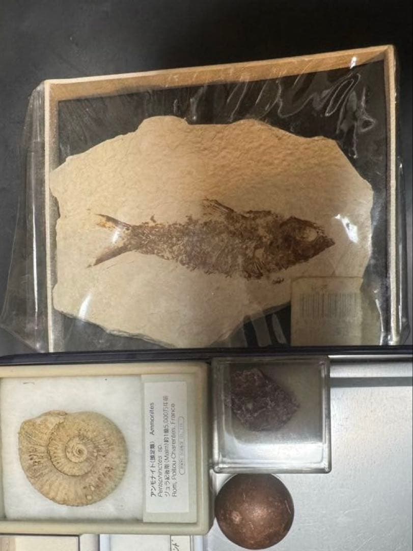 天然石・化石コレクション　まとめ売り