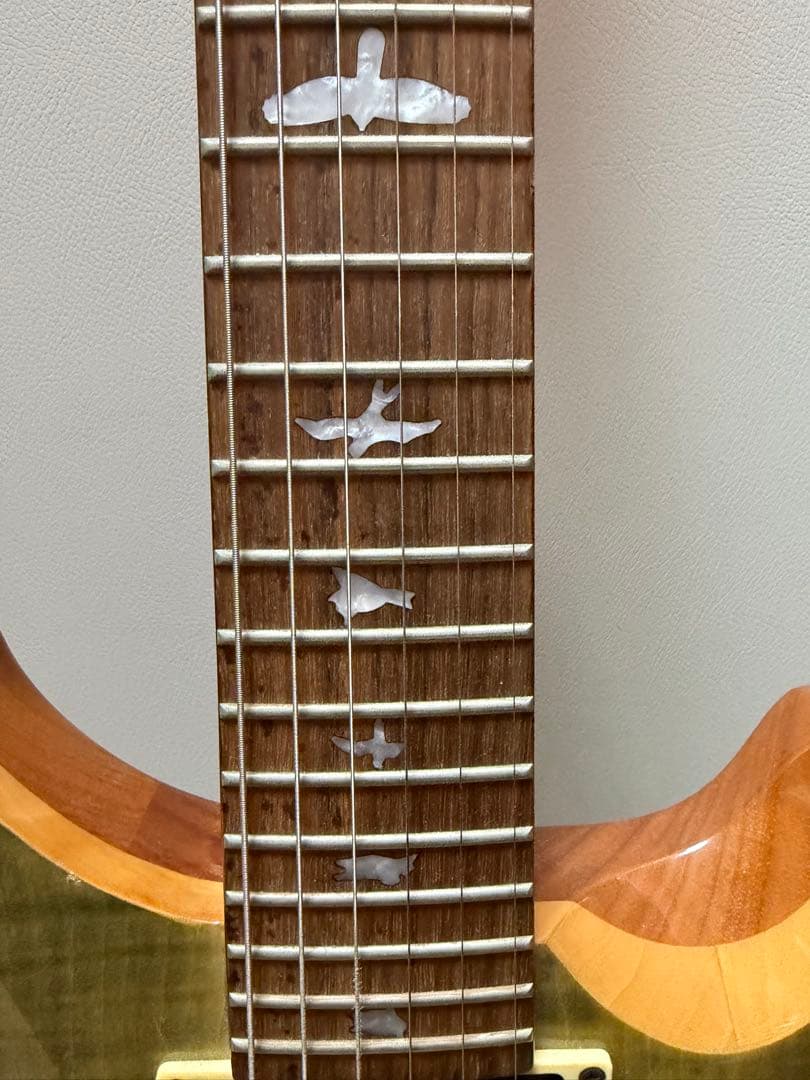 PRS SE custum24 グリーン　ソフトケース付き