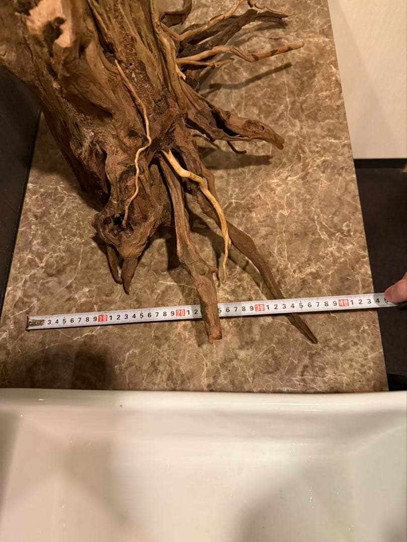 水槽用流木 自然な形状 約120cm