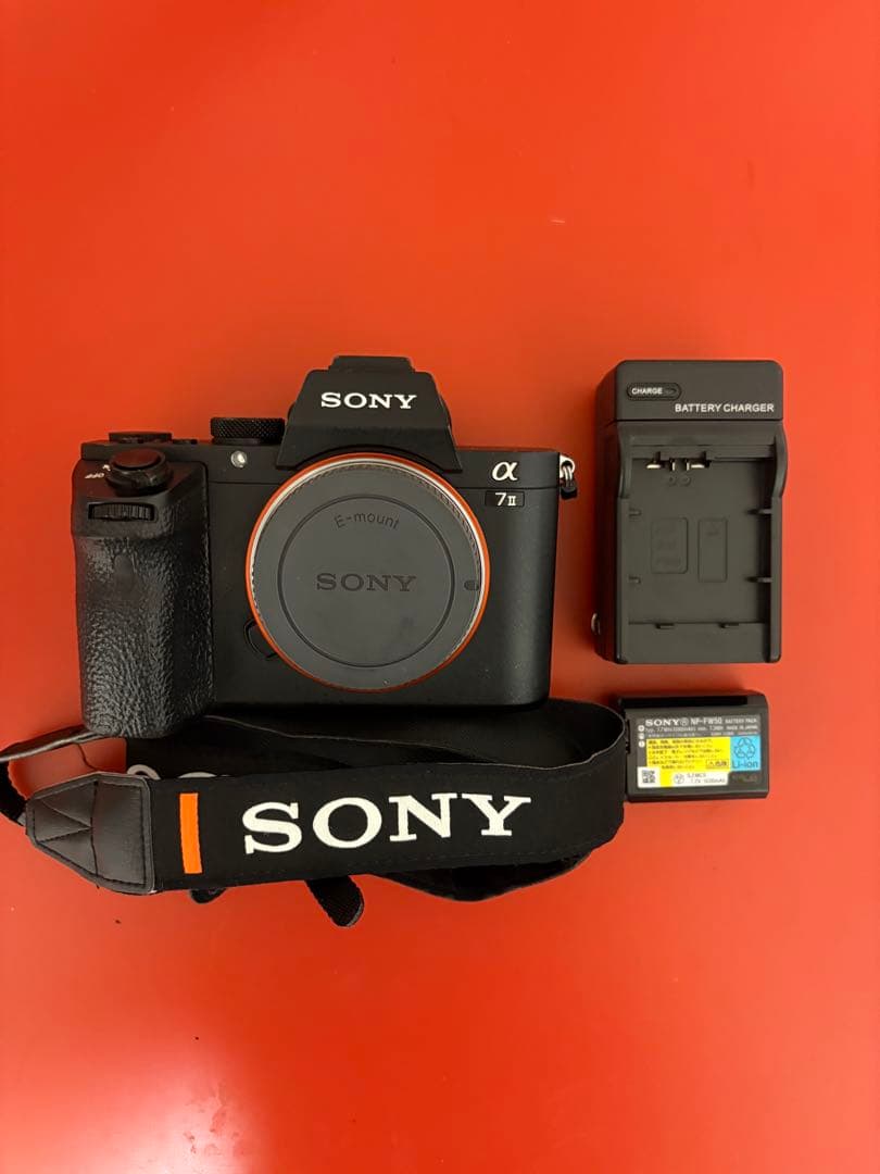 T*g様 SONY α7 II ミラーレスカメラ 本体