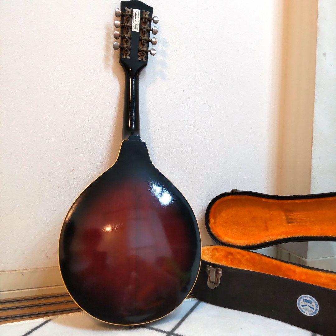 JUMBO 田原楽器　TAHARA　フラットマンドリン　弦楽器 ジャンボ