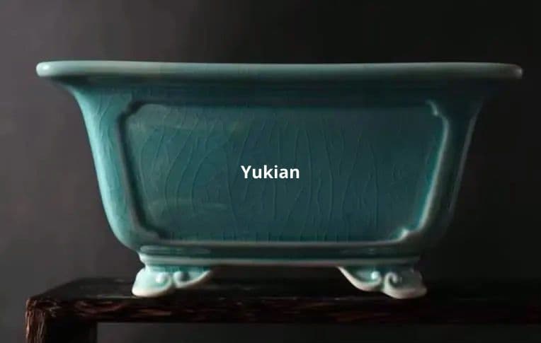 奎面雲足四方鉢 盆栽鉢 植木鉢 小品盆栽鉢 大品盆栽鉢