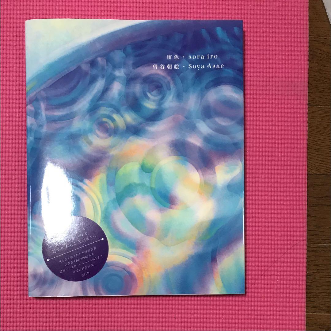 art 絵画  曽谷朝絵 オリジナルドローイングとサイン入り本