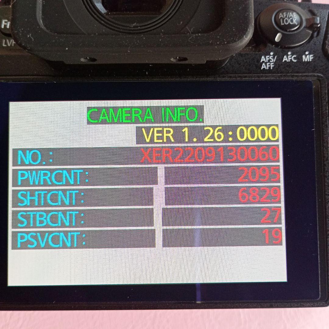 【中古美品】LUMIX G99D ボデイ（シャッター6829回）