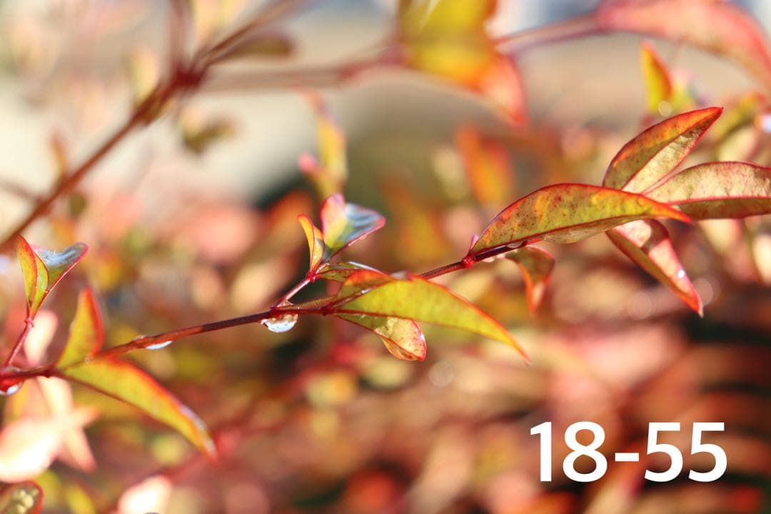 【豪華セット】Canon Kiss x9i ダブルレンズ WiFi スマホ転送◎