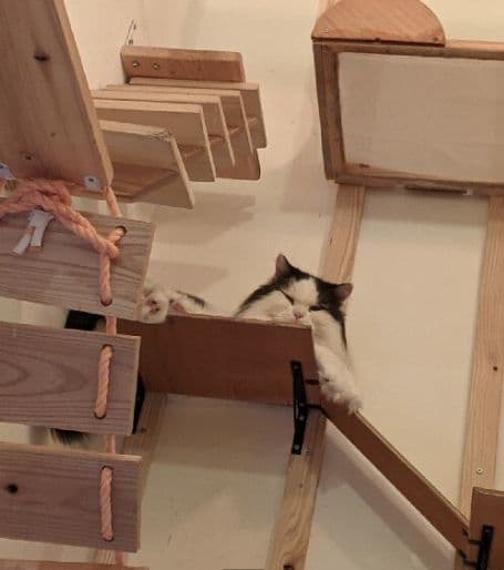 木製 据え置き型キャットタワー