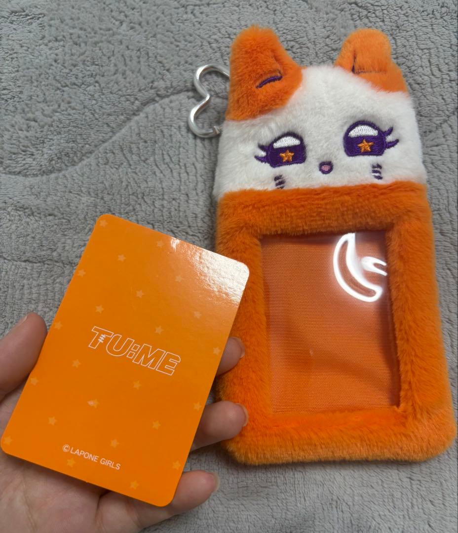 月　海老原鼓　まとめ売り