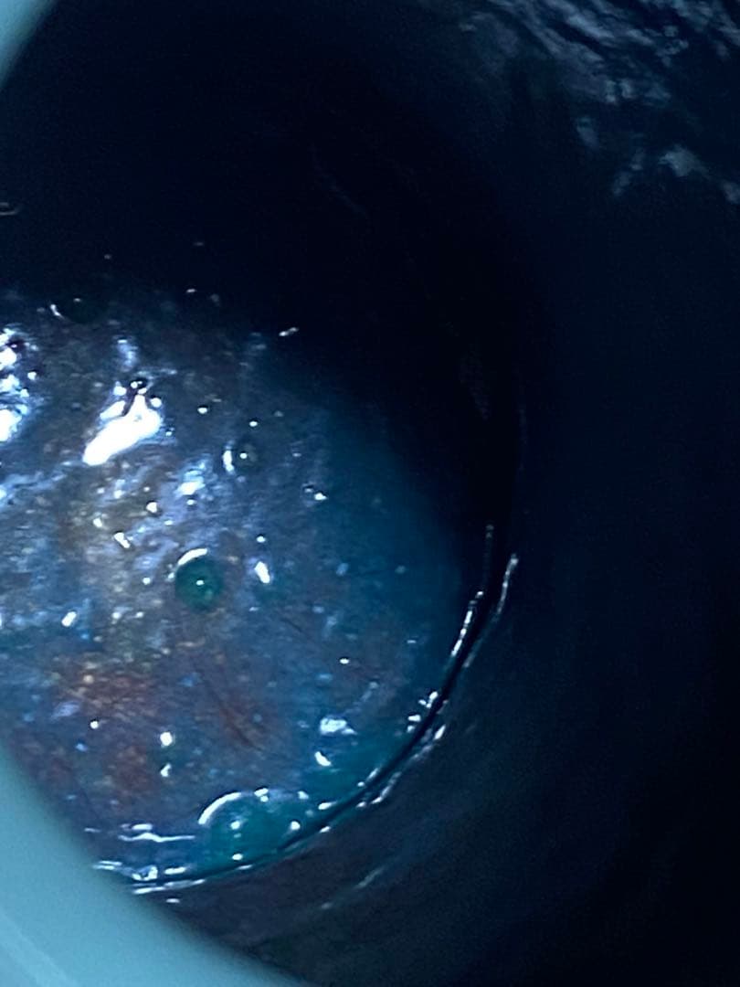 ♦安藤七宝 菊花文様 瓶 壺 花瓶 七宝焼 美術品 工芸品 コレクション 骨董品