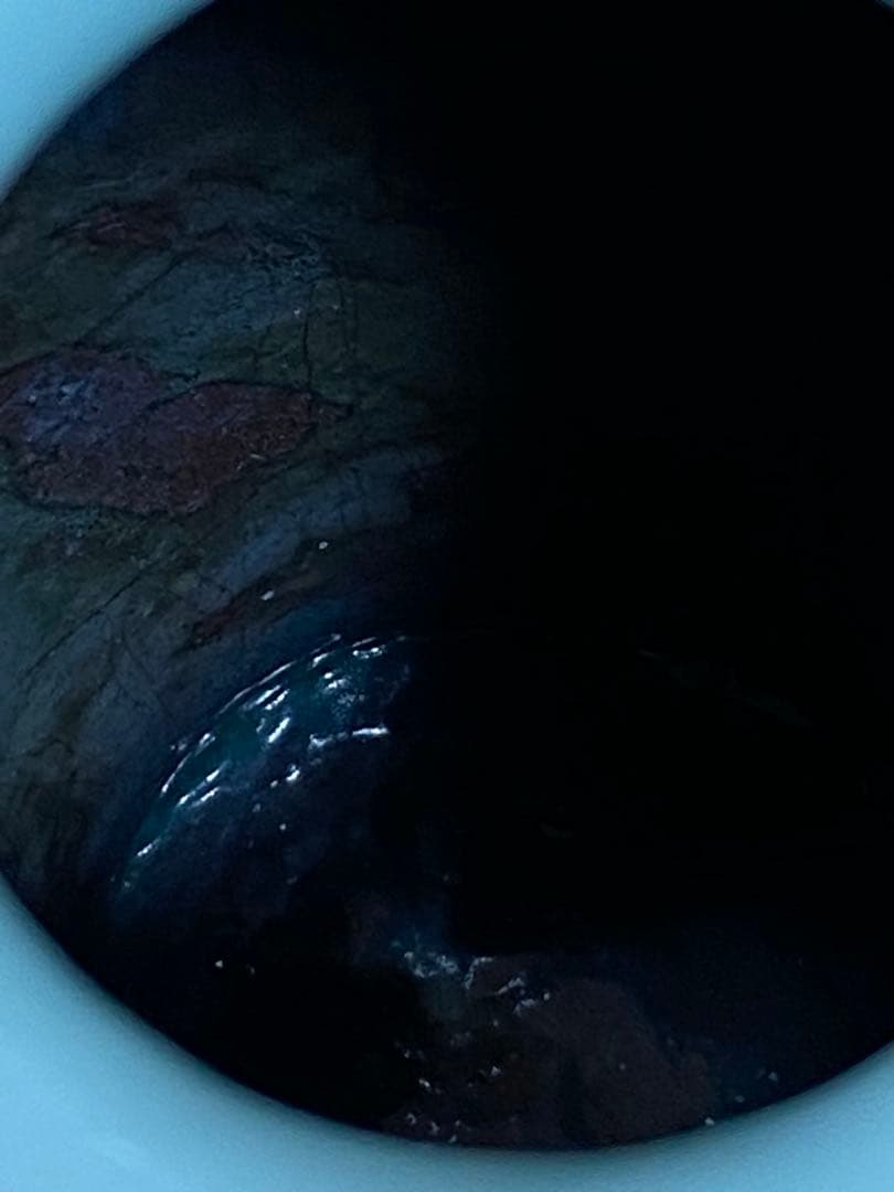 ♦安藤七宝 菊花文様 瓶 壺 花瓶 七宝焼 美術品 工芸品 コレクション 骨董品