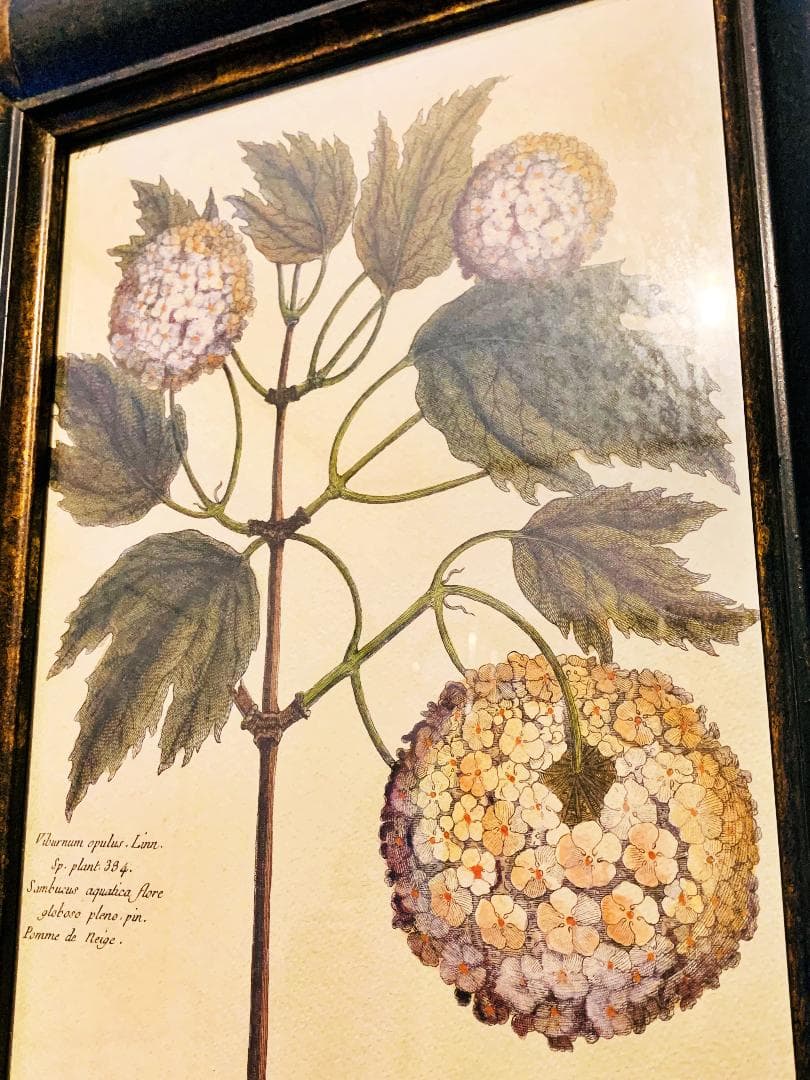 フランス　アンティーク　フレーム　絵