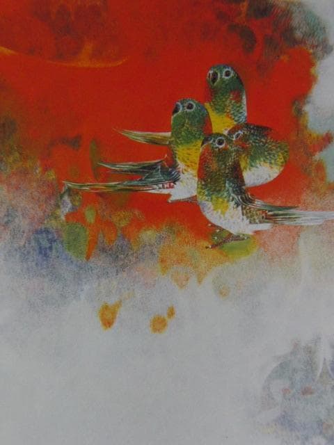 市野龍起、【ビセイ・インコ】、希少な額装用画集より、新品額装付、状態良好