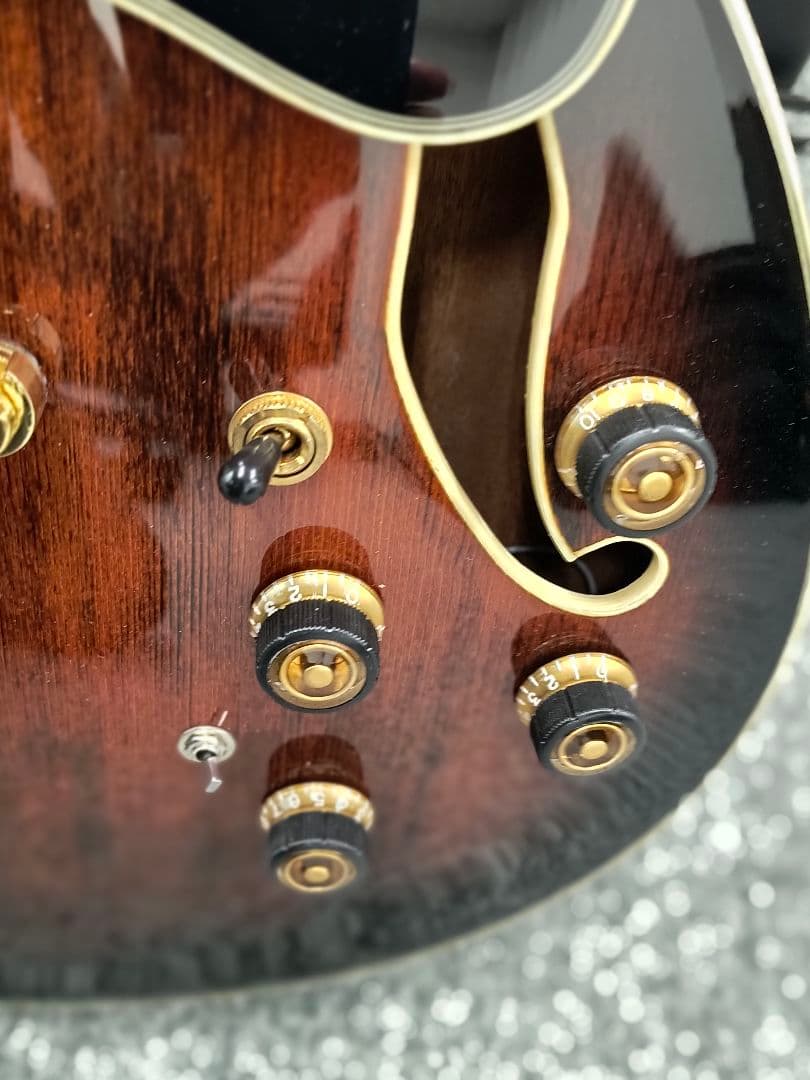 アイバニーズAS113B-TBC セミアコ