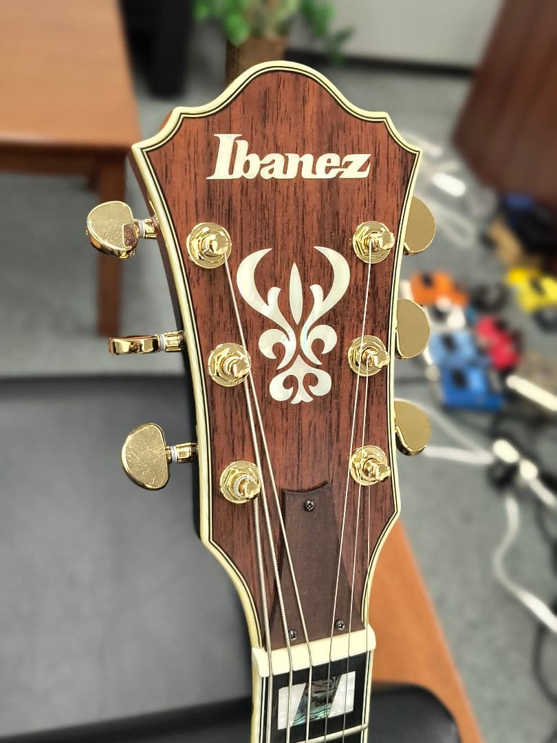 アイバニーズAS113B-TBC セミアコ