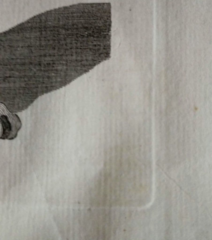 額装品　1750年　T.KITCHIN　「アーミナリ天球儀」渾天儀