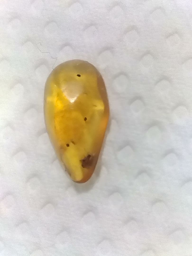 海洋堂　ジュラシックパークⅢ フィギュア&琥珀虫入り＋三葉虫化石（本物）