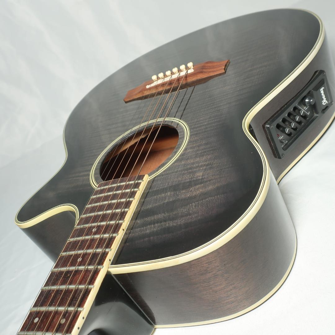 段 弦 Ibanez AEG450TK エレアコ ギター ストラップ＆ケース付