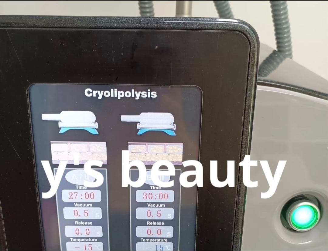 360度　脂肪冷却　強いパワー　業務用　同時稼働