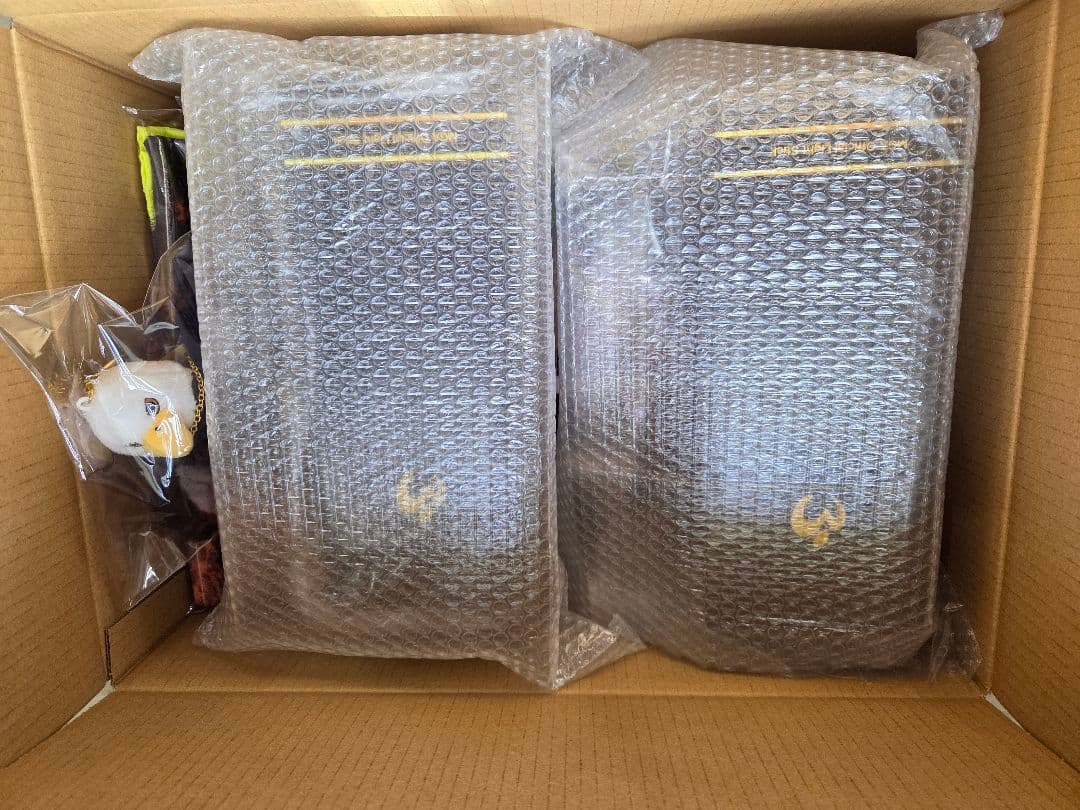 Mrs. GREEN APPLE2025バベルの塔ライト 12時間以内に発送