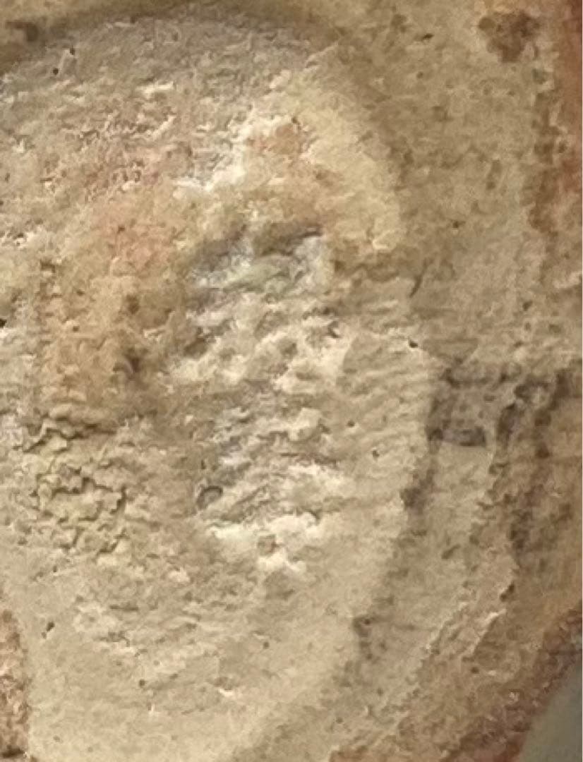 B236b「萩焼松笠香合」第十一世坂高麗左衛門造　共布共箱　韓峯　茶道具