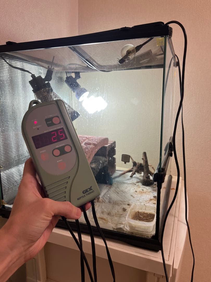 爬虫類ケージ・サーモスタットセット