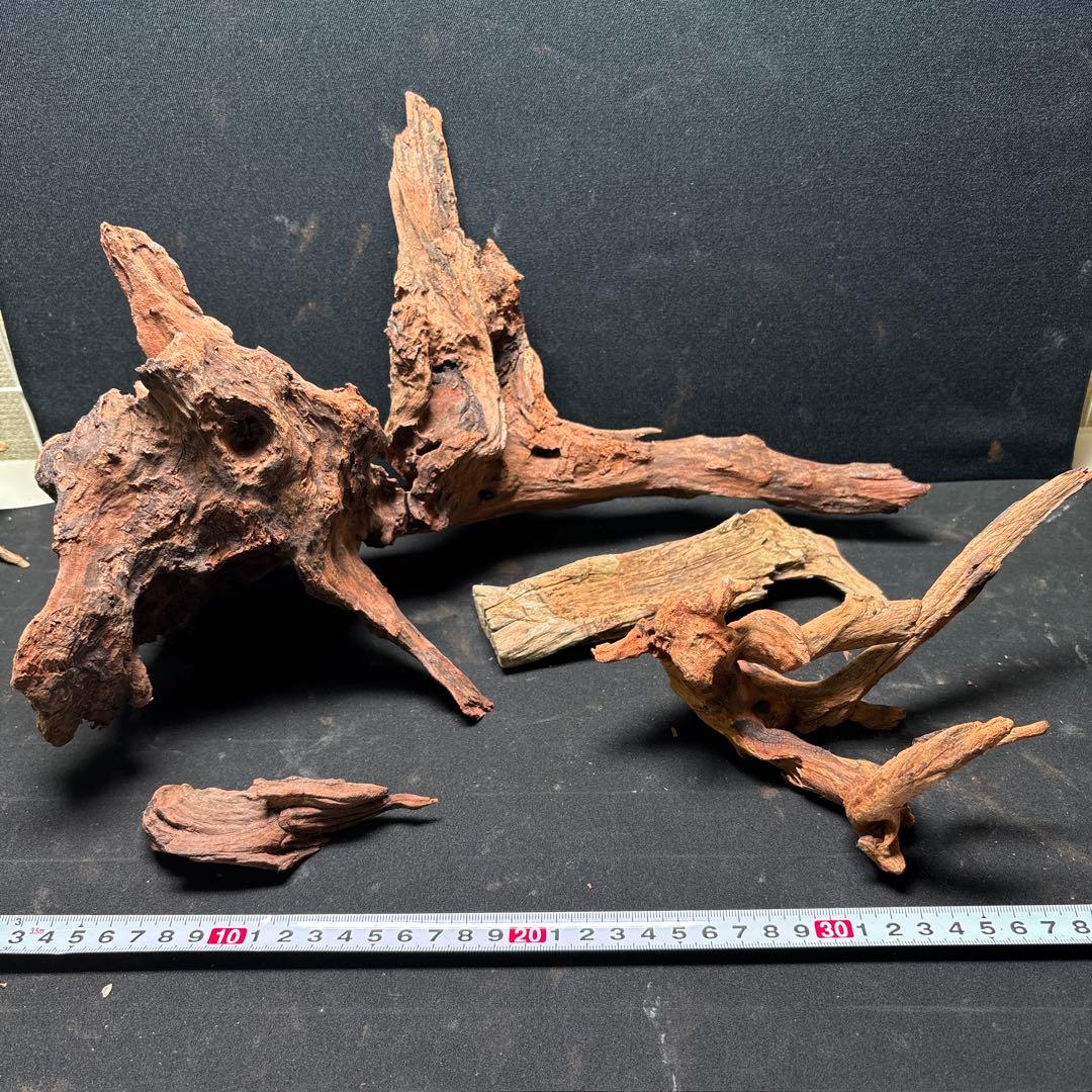 ADAホーンウッド13個