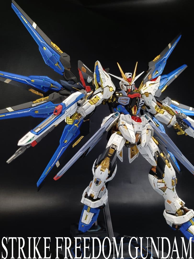 MGEX ストライクフリーダムガンダム　全塗装　完成品　MG