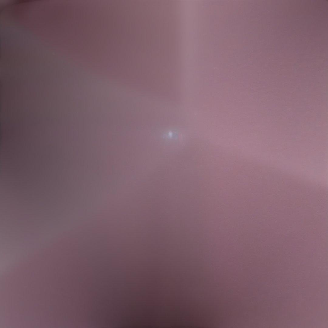 田中啓一 SUZUKI　龍扇　短箏 ソフトケース付き