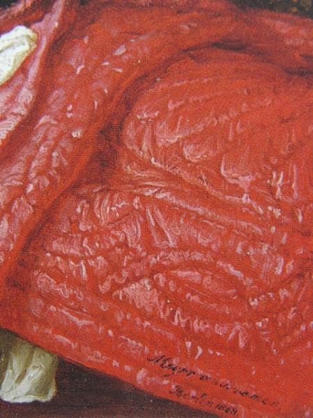 Johann  Meyer Von Bremen、希少画集より