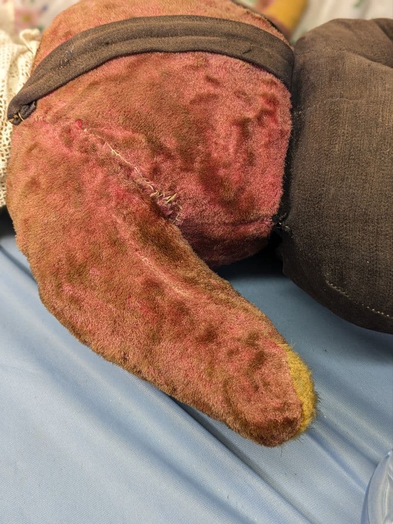 超特大 イギリス アンティーク テディベア アンティークベア　身長72cm