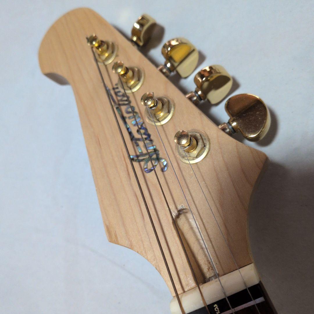 エピフォン風マインドバードスタイル-エレキマンドリン!!!