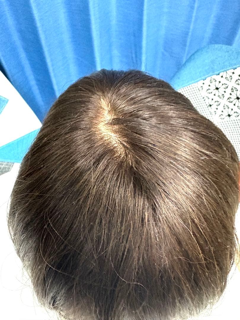 最終値下げ人毛100％インナーカラーデザインウィッグ