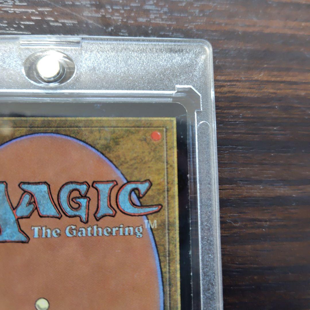 適者生生存　MagicTheGathering　 英語版