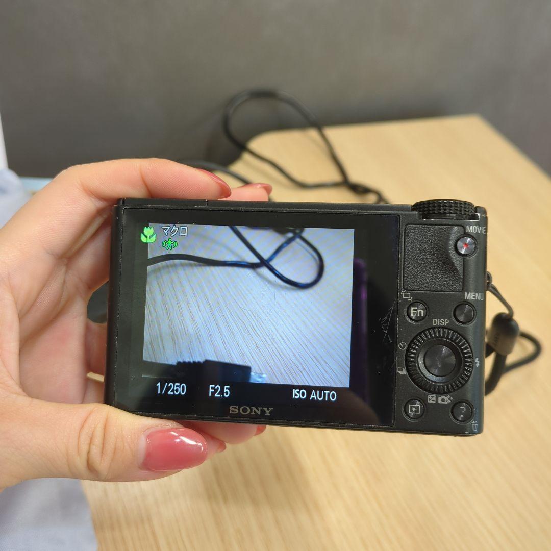 sony サイバーショット　DSC-RX100