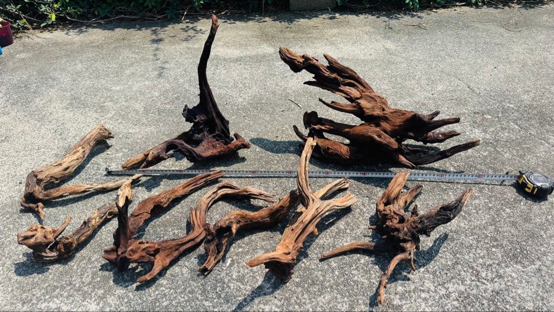 ADA ホーンウッド 詰め合わせ