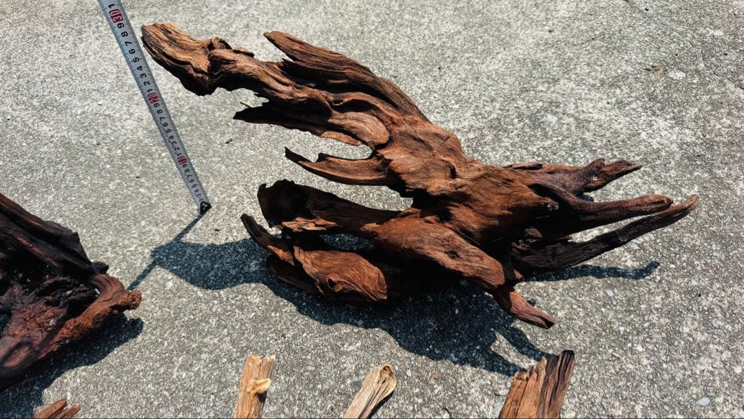 ADA ホーンウッド 詰め合わせ