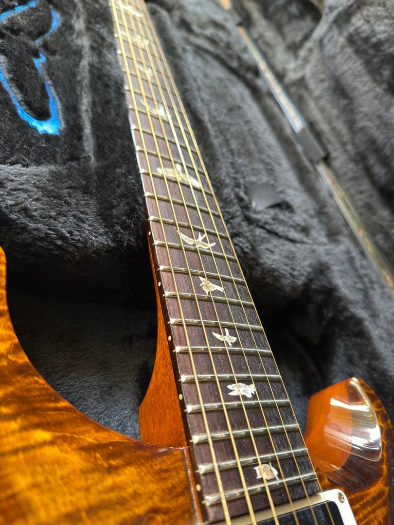 PRS2025Custom24 10Top Black Gold【1P Top】