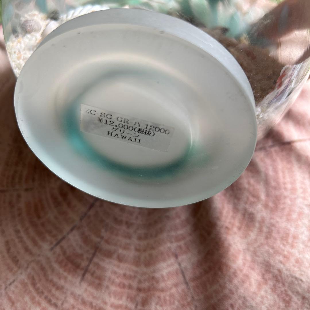 ガラスドーム　シェル　お値引き不可