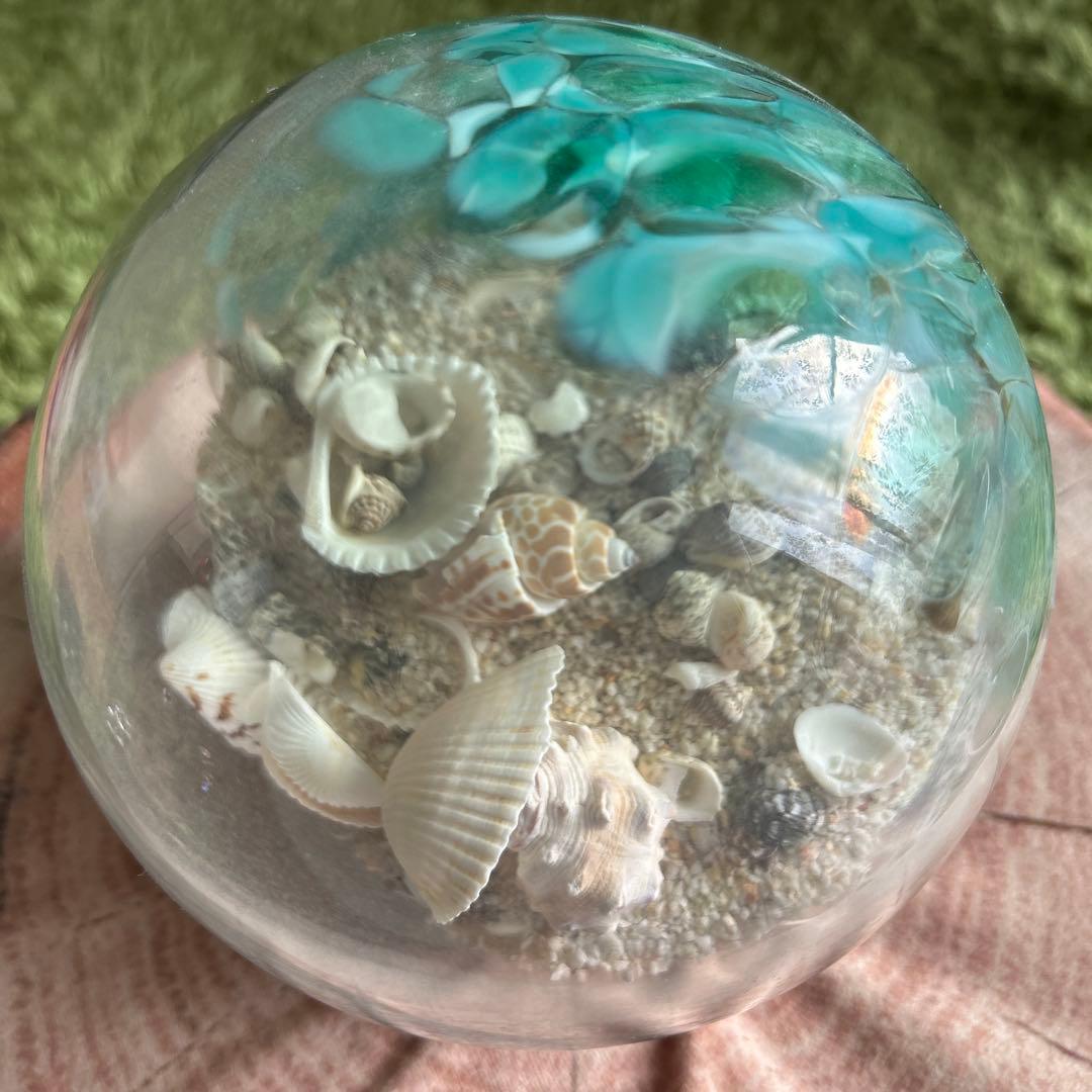 ガラスドーム　シェル　お値引き不可