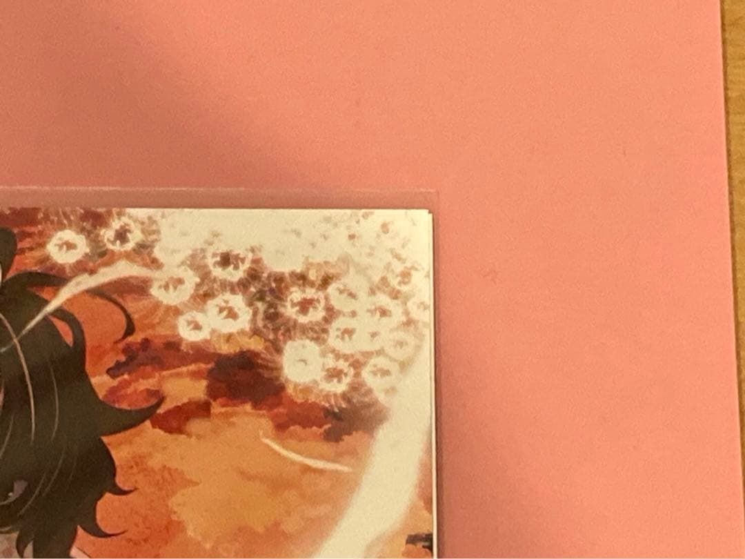 FGO メモリアルポストカード　アルジュナ カルナ